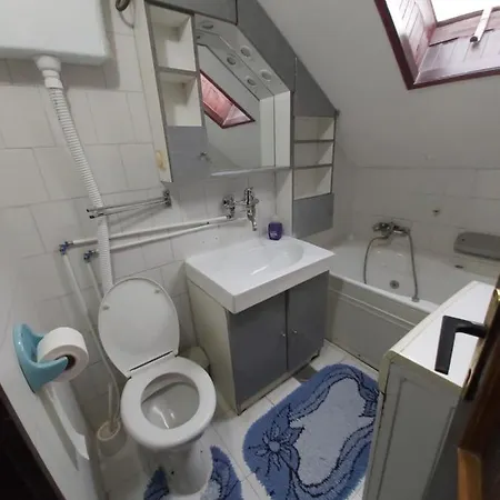 בית הארחה Julija Pansion Senta